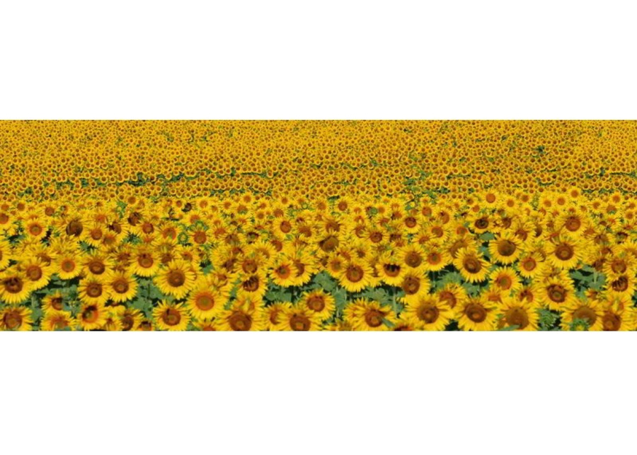 Keittiön välitila Sunflowers 180x60 cm