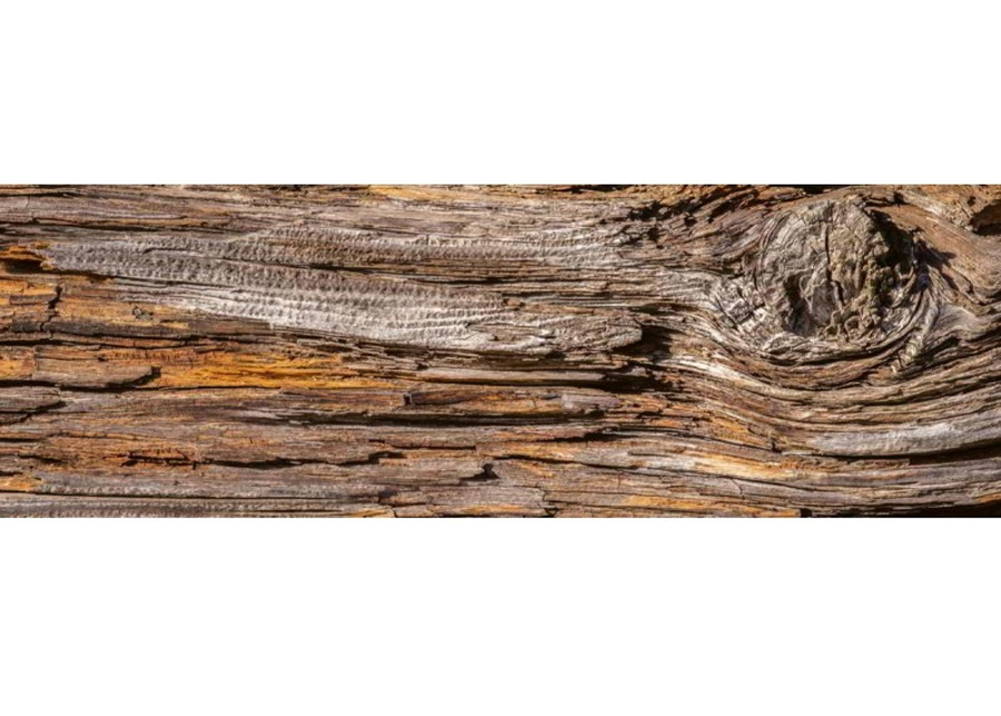 Keittiön välitila Tree bark 260x60 cm