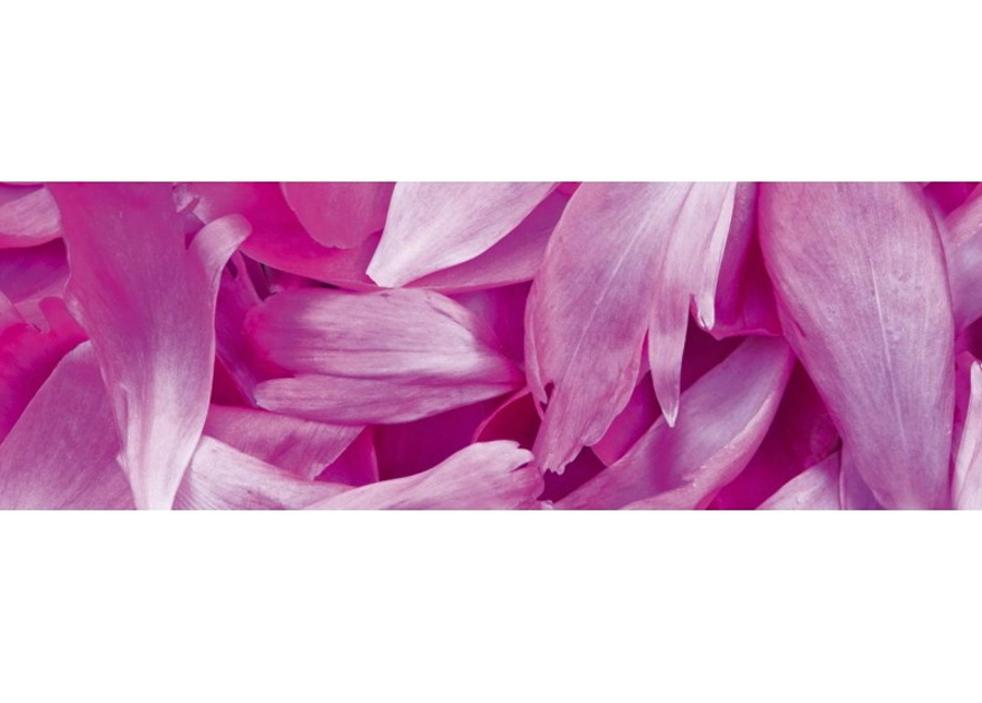 Keittiön välitila Violet petals 180x60 cm