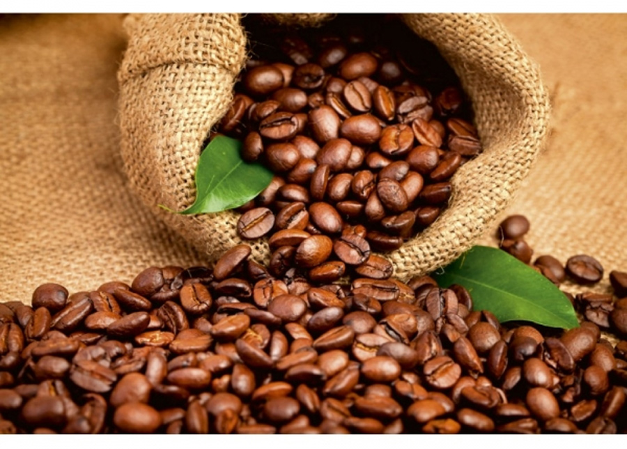 Non-woven kuvatapetti Coffee beans 375x150 cm