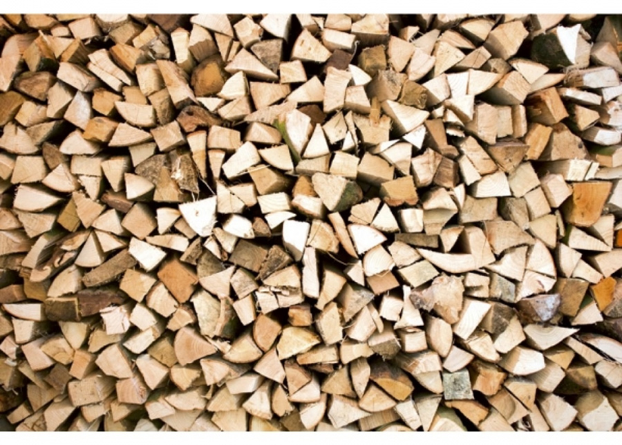 Fleece-kuvatapetti Timber logs 150x250 cm