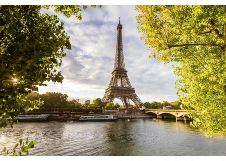 Fleece-kuvatapetti Seine in paris 225x250 cm