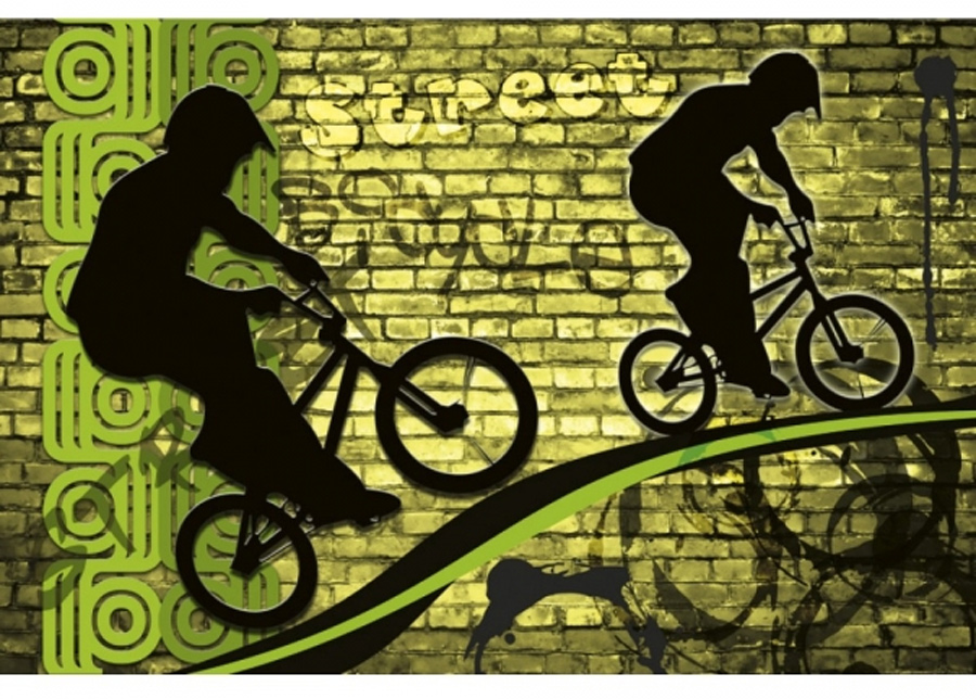Fleece-kuvatapetti Bicycle green 225x250 cm