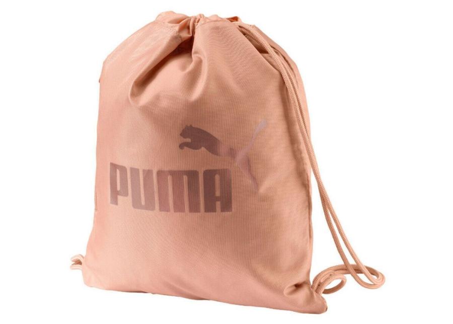 Kenkäpussi Classic Cat Puma 075606 12