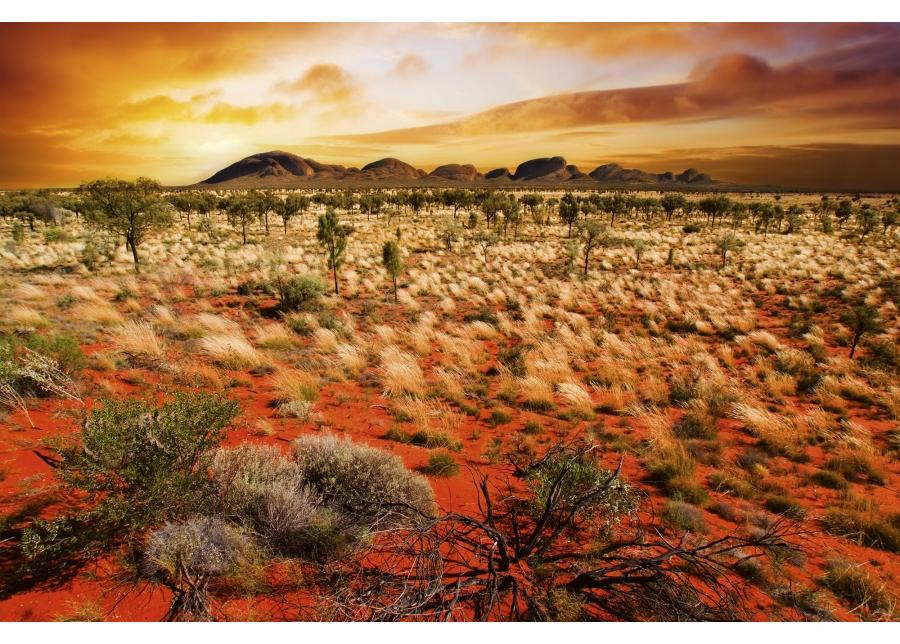 Fleece-kuvatapetti Australian landscape 375x250 cm