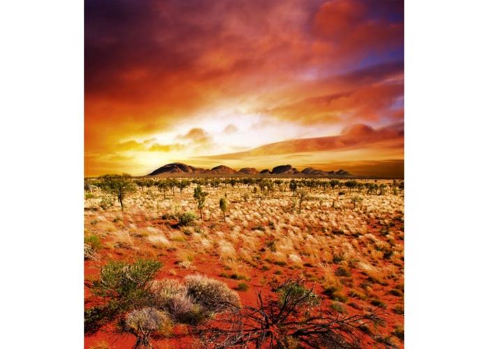 Fleece-kuvatapetti Australian landscape 225x250 cm