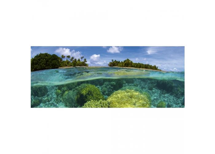 Fleece-kuvatapetti Coral reef 375x150 cm