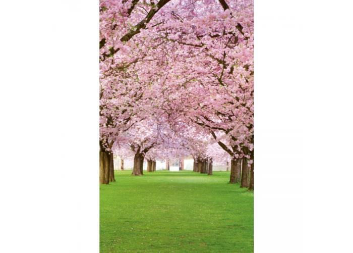 Fleece kuvatapetti Cherry trees 150x250 cm