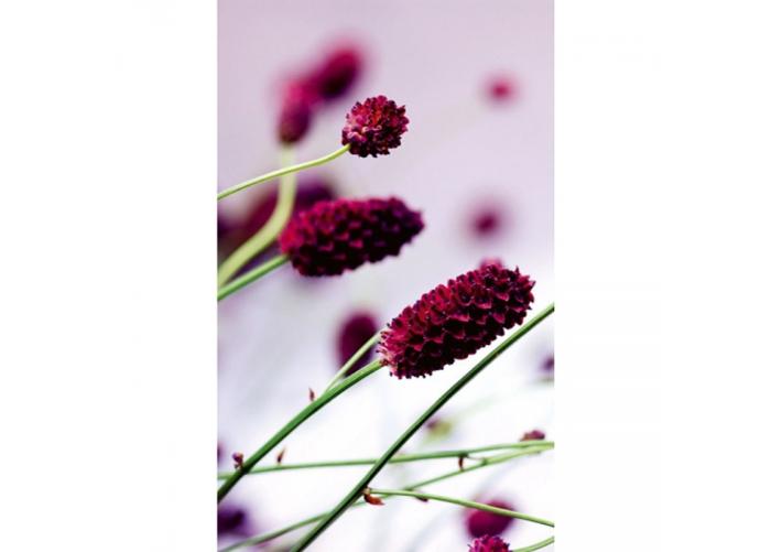 Fleece kuvatapetti Floral violet 150x250 cm