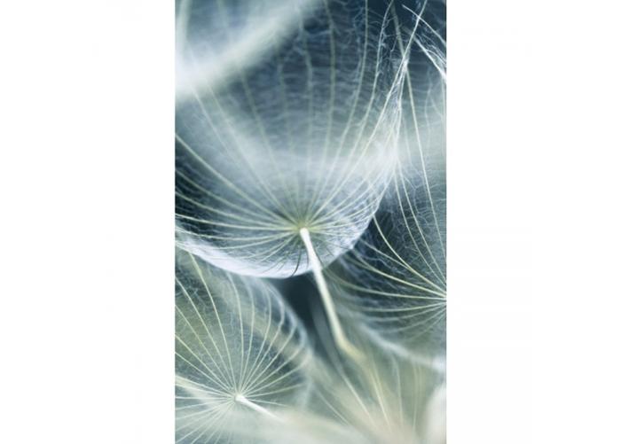Fleece kuvatapetti Dandelion macro 150x250 cm