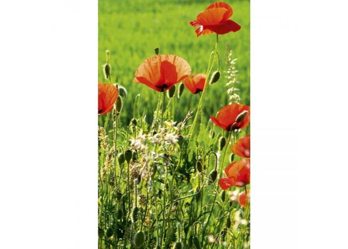 Fleece kuvatapetti Poppy field 150x250 cm