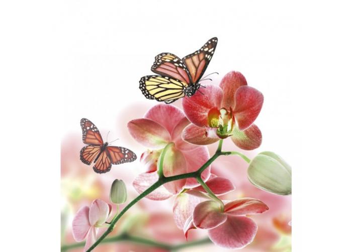 Fleece kuvatapetti Orchids and butterfly 225x250 cm