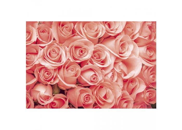 Fleece kuvatapetti Roses 375x250 cm