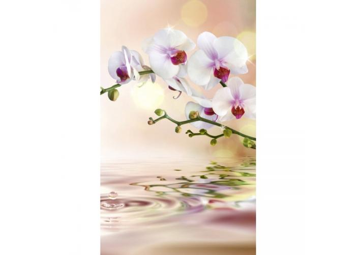 Non-woven kuvatapetti White orchid 150x250 cm