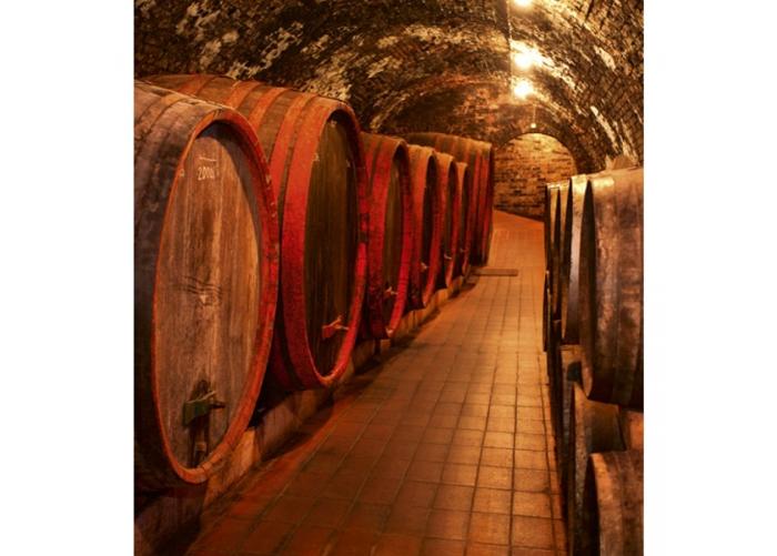 Fleece kuvatapetti Wine barrels 225x250 cm