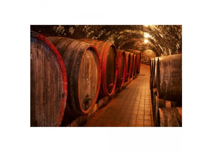 Fleece kuvatapetti Wine barrels 375x250 cm