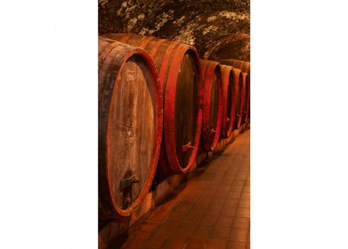 Fleece kuvatapetti Wine barrels 150x250 cm