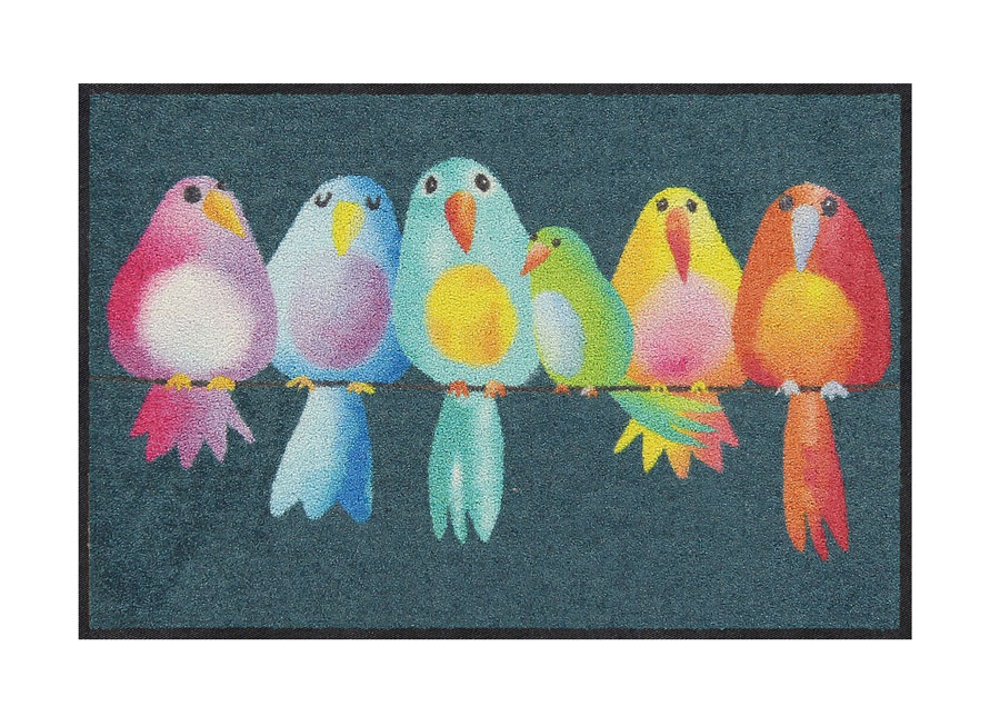 Ovimatto Rainbow Birds 50x75 cm