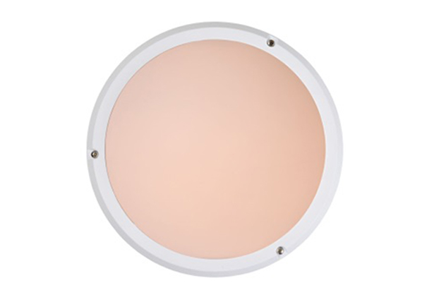 Ulkovalaisin Fenna valkoinen