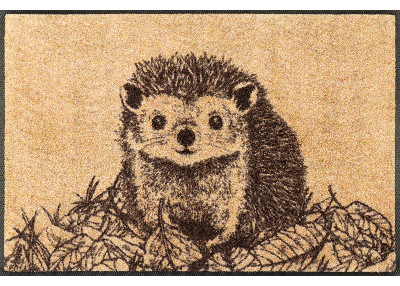 Kynnysmatto Hedgy 50x75 cm