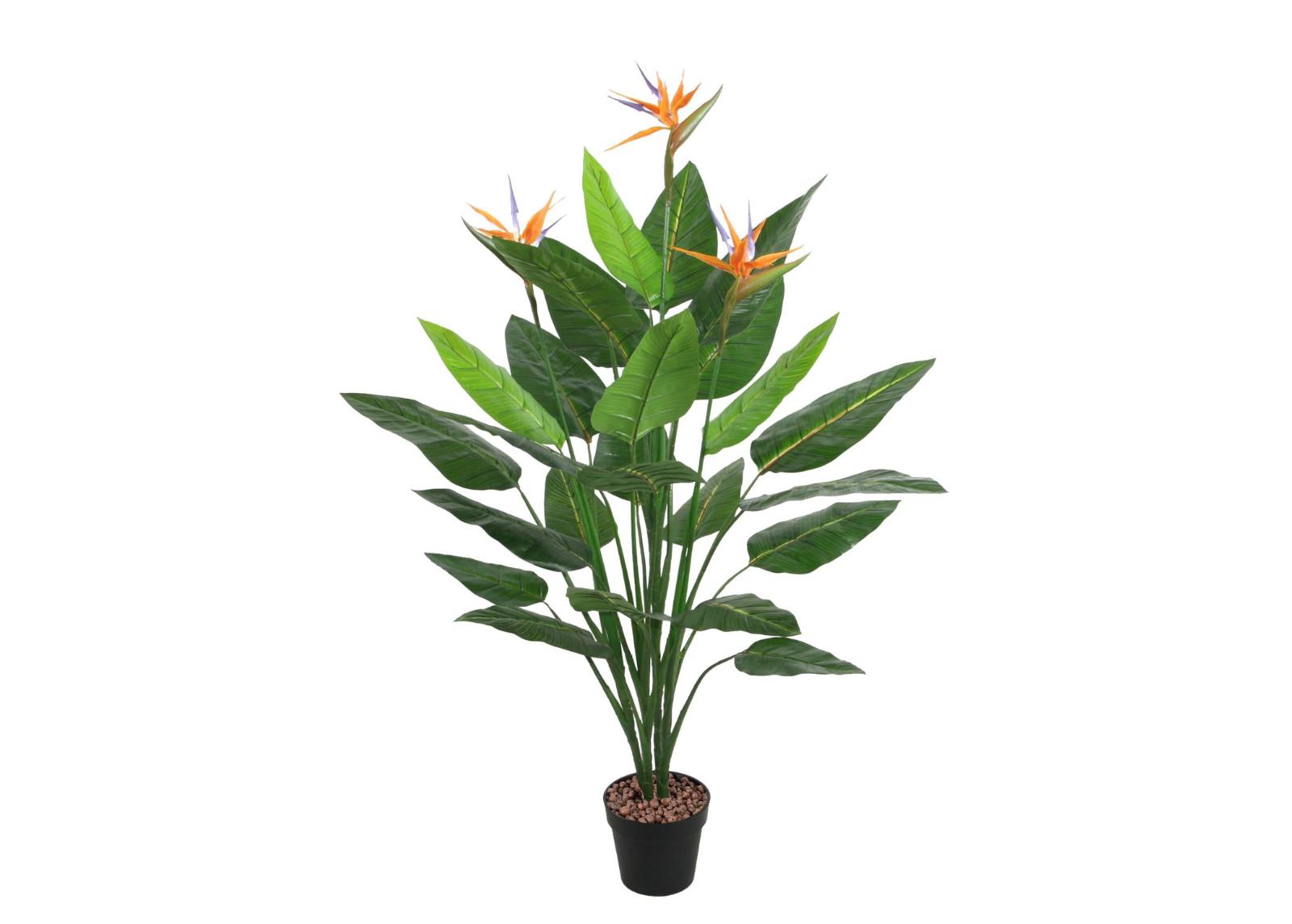 Tekopuu Bird of Paradise 150 cm