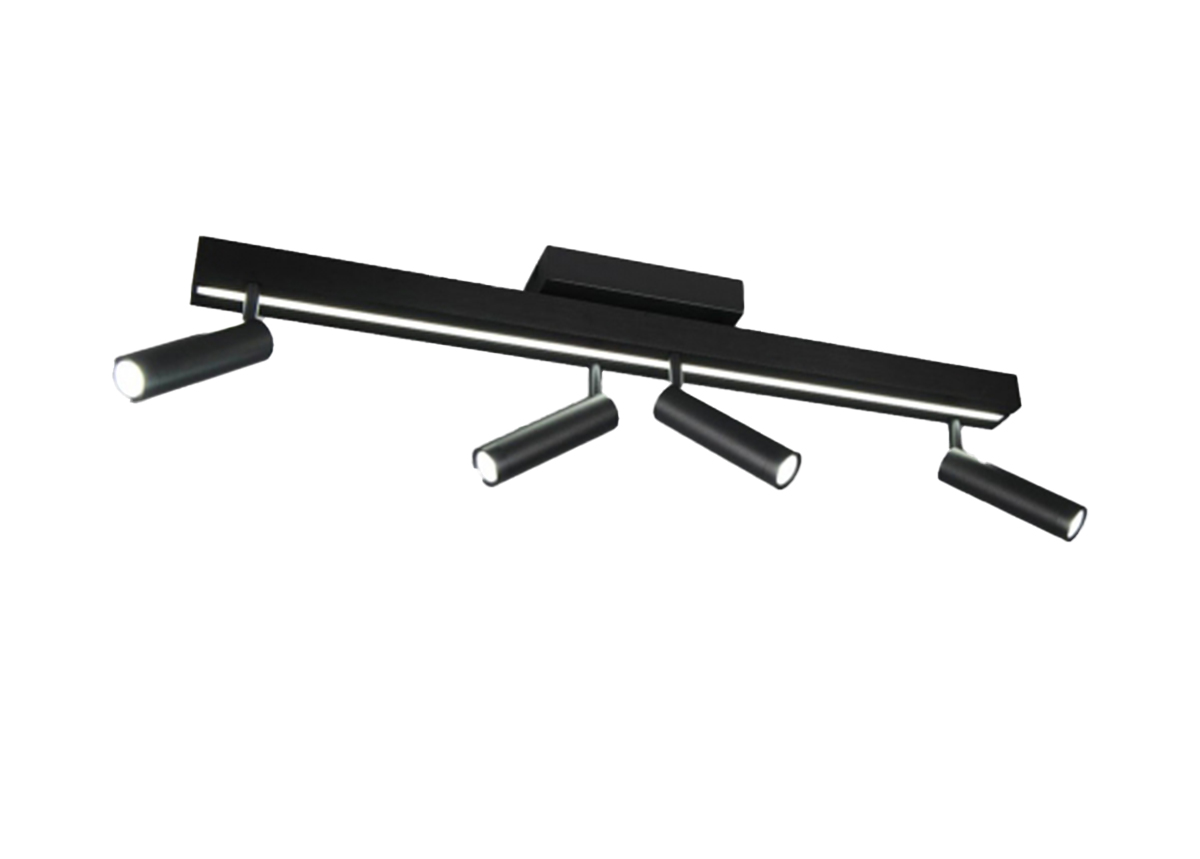 Kattovalaisin Zeno Kattovalaisin Zeno