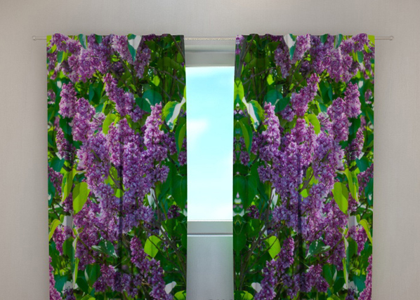 Läpinäkyvä verho LILAC 1, 240x220 cm